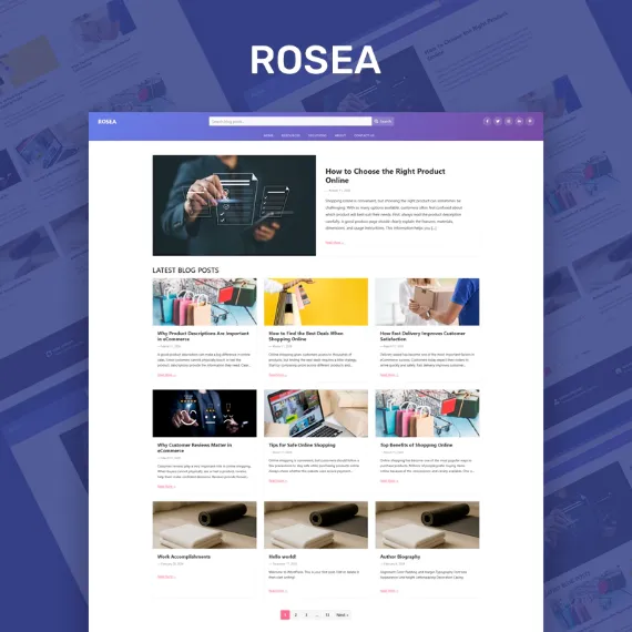 Responsive nopCommerce theme