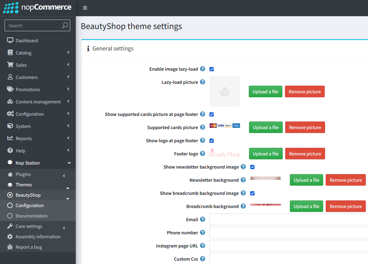 Theme Configuration Beauty Shop Responsive Theme+Plugins Bundle by nopStation - nopCommerce