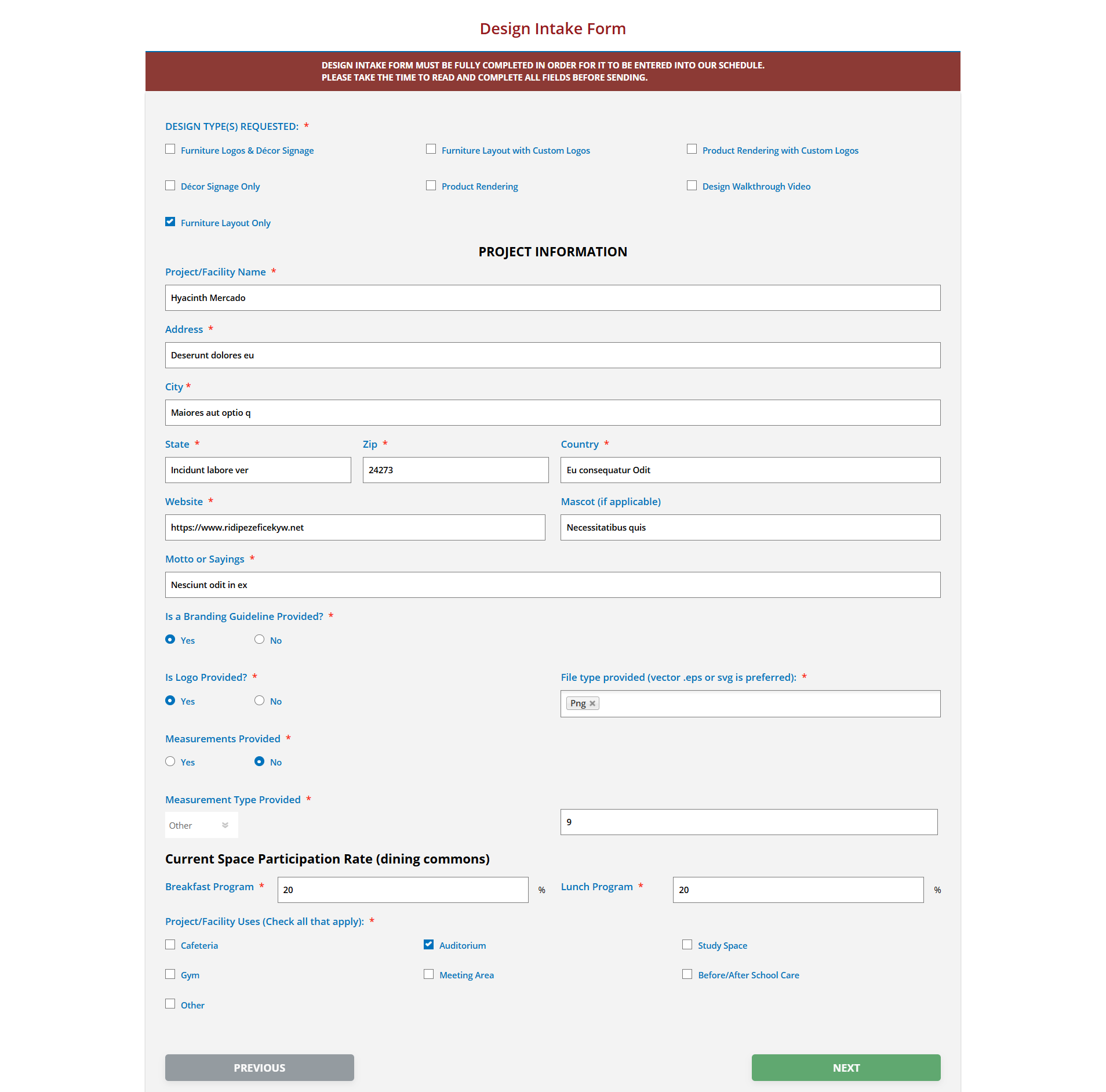 Design Intake Form Design Intake Form